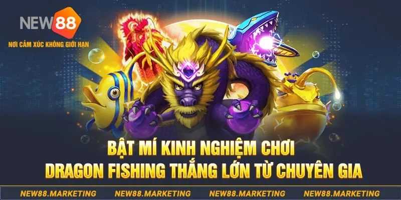 Bật mí kinh nghiệm chơi Dragon fishing thắng lớn từ chuyên gia&nbsp;