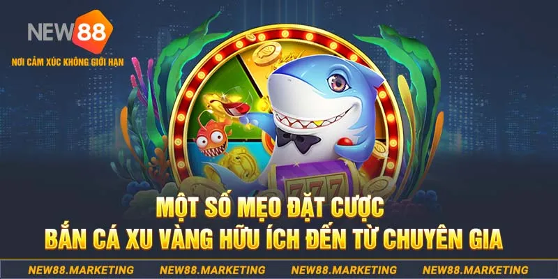 Một số mẹo đặt cược bắn cá Xu Vàng hữu ích đến từ chuyên gia&nbsp;