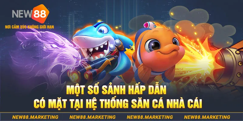 Một số sảnh hấp dẫn có mặt tại hệ thống săn cá nhà cái Ku88