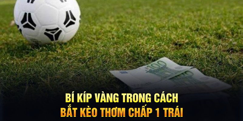 Bí kíp vàng trong cách bắt kèo thơm chấp 1 trái&nbsp;
