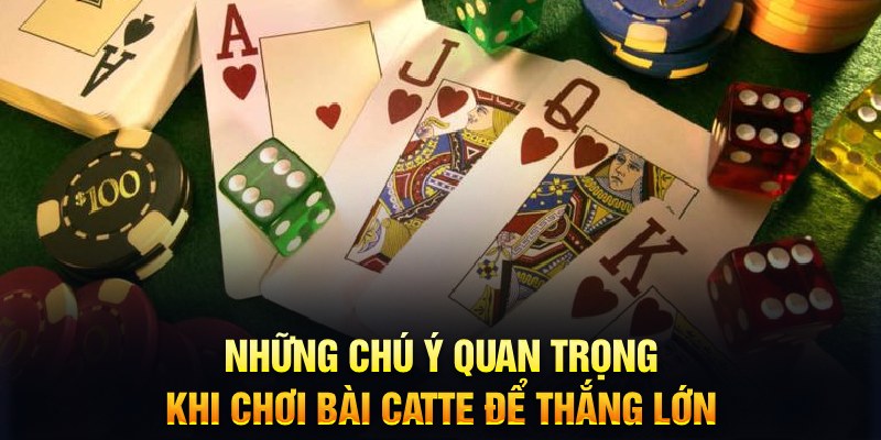 Những chú ý quan trọng khi chơi bài Catte để thắng lớn&nbsp;
