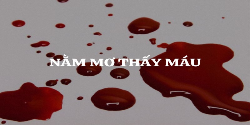 Ngủ mơ thấy máu là điều thường gặp trong cuộc sống