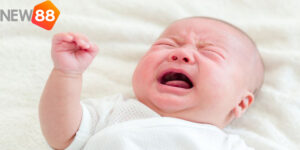 Mơ Thấy Trẻ Con Đánh Con Gì? Ku88 Giải Mã Giấc Mơ Và Con Số May Mắn